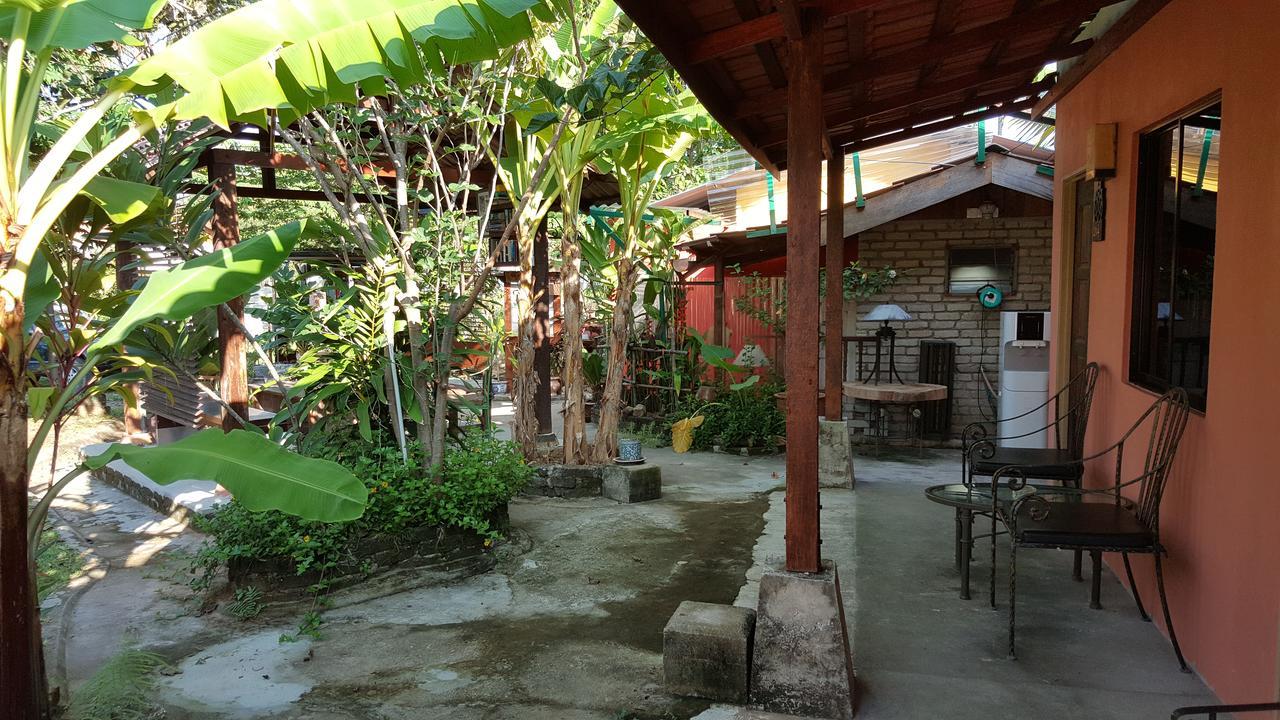 Hotel The Coconut Langkawi à Pantai Cenang  Extérieur photo