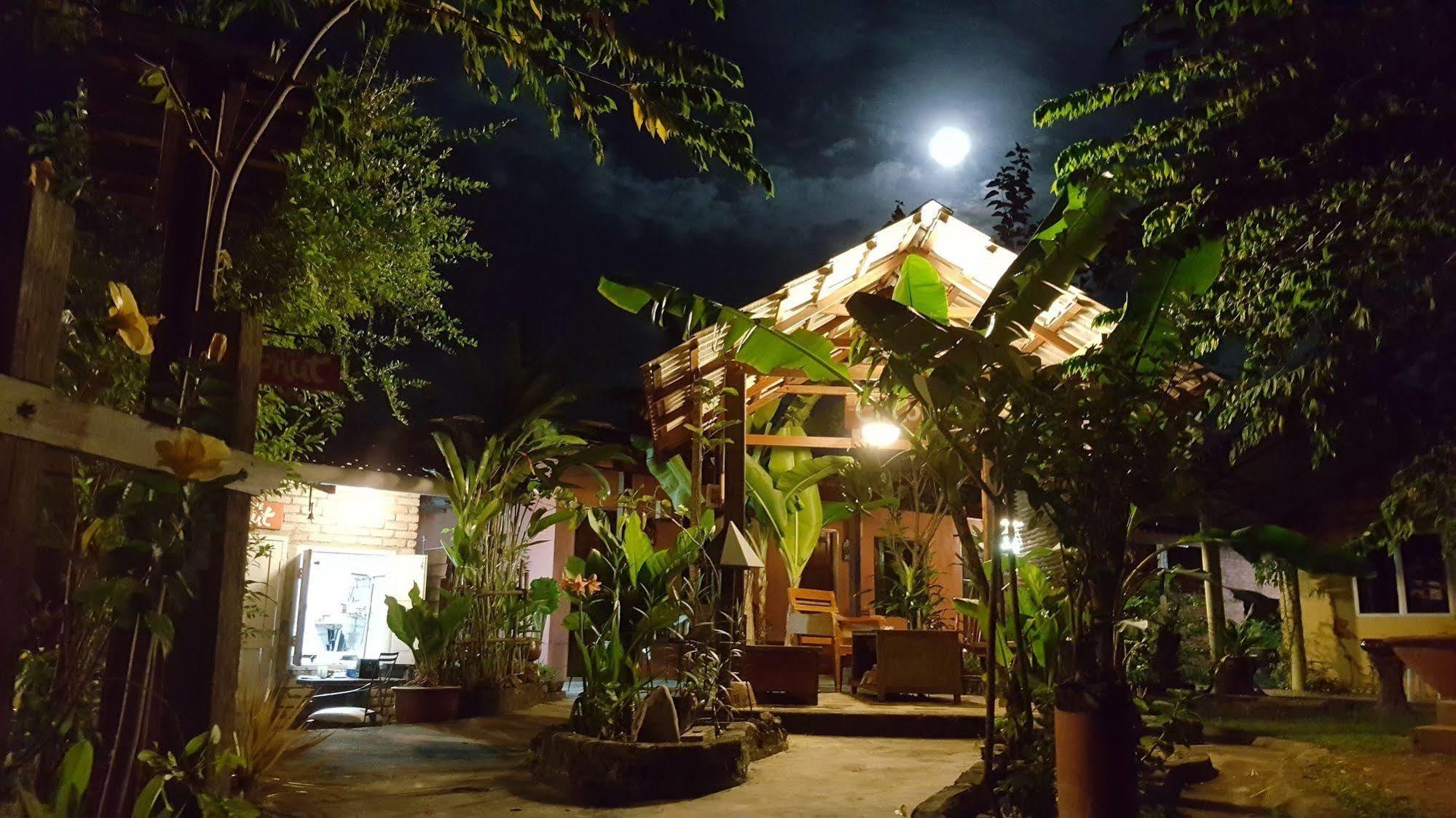 Hotel The Coconut Langkawi à Pantai Cenang  Extérieur photo